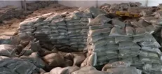 کشف ۵۸ تن برنج قاچاق در مراغه/ انبار متخلف پلمب شد