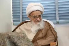 اجازه آیت‌الله صافی برای مصرف سهم امام برای مقابله با کرونا
