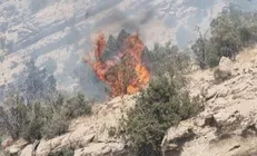 آتش‌سوزی ارتفاعات کهمره سرخی شیراز مهار شد
