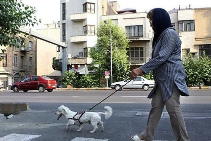 سردار حمیدی: جریمه ۲۰ هزار تومانی سگ&zwnj;گردانی بازدارنده نیست