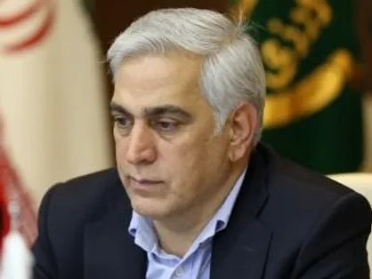 معاون وزیر جهاد کشاورزی: ۲۱ درصد مطالبات کلزاکاران هنوز پرداخت نشده است