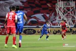 دبب