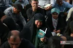 دبب
