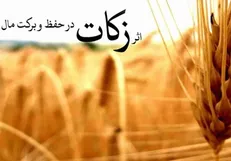 پرداخت ۶۴ میلیارد تومان زکات در استان تهران