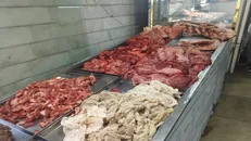 معدوم‌سازی ۱۸ تن فرآورده غیربهداشتی در پی گشت‌های مشترک نظارتی در البرز