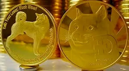 سقوط ۲۵ درصدی داج کوین