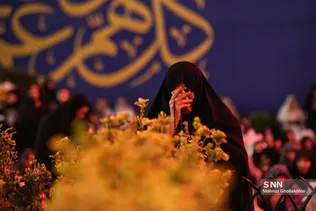 دبب