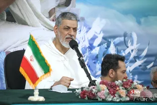 دبب