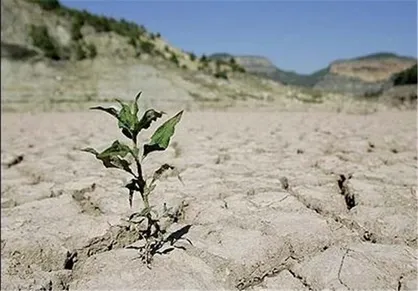 فرخ&zwnj;نیا: صرفه&zwnj;جویی برای گذار از شرایط کم آبی ضروری است