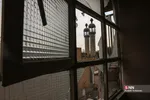 دانشجو