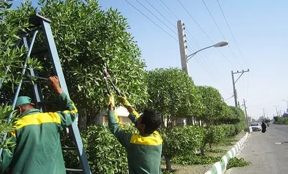 چشم&zwnj;انتظاری کارگران فضای سبز یاسوج برای دریافت مطالبات / وقتی مجبوری وسایل خانه&zwnj;ات را بفروشی