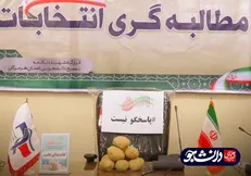 دانشجویان هرمزگانی جای خالی کاندیدا‌های مجلس را با سیب زمینی پر کردند