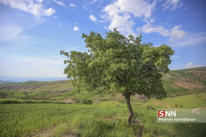 جلوه های زیبای طبیعت
