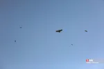 رهاسازی ۹ قطعه پرنده شکاری و آبزی در تالاب بهشت معصومه