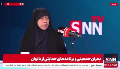 محمدبیگی: اگر نمی&zwnj;توانید مسئله جمعیتی کشور را حل کنید کنار بروید / خطر وارد کردن اتباع برای نیروی کار + فیلم