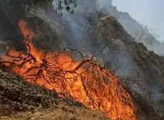 آتش‌سوزی در ارتفاعات کوه ماغر/ درخواست منابع طبیعی بهمئی برای مشارکت مردمی در مهار حریق