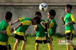 انصاری