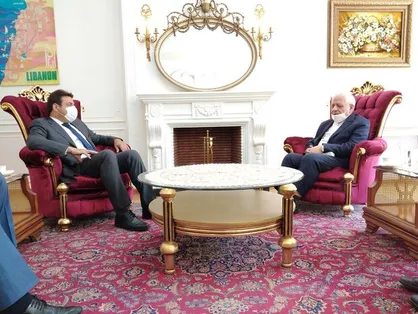 بادامچیان: با یاری دولت و ملت لبنان حادثه بیروت جبران می&zwnj;شود