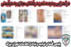 درآمدزایی و دیده شدن در فضای مجازی به هرقیمتی
