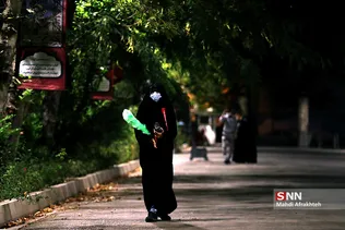 ددن
