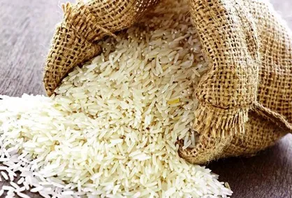 توکلی: آشفتگی بازار برنج میراث دولت قبل است/ پیشنهاداتی برای تنظیم بازار