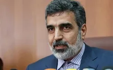 کمالوندی: ورود ۳۸ تن سوخت جدید مورد نیاز نیروگاه اتمی بوشهر به کشور