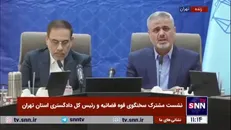 رئیس کل دادگستری استان تهران: شاهد کاهش ۱۷ درصدی سرقت نسبت به مدت مشابه در سال گذشته هستیم
