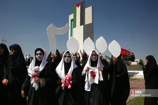 دبب