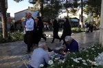 فطر