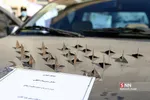 نهمین طرح ظفر پلیس مبارزه با موادمخدر