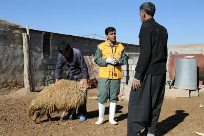 ۱۳ گروه جهادی دامپزشکی دانشگاه شهرکرد به مناطق محروم کوهرنگ اعزام شدند