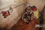 پلمپ ۳۷ خانه در«میدان امام حسین (ع)»