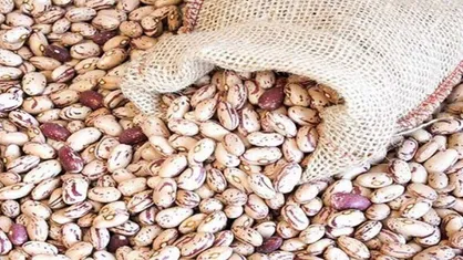 قیمت لوبیا چیتی به ۳۲۰ هزارتومان رسید