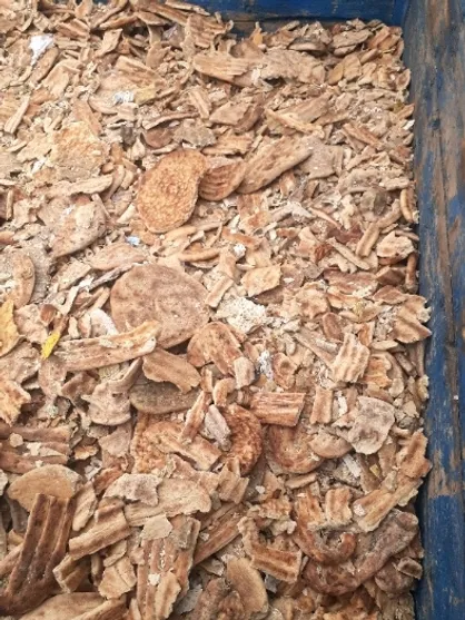 کشف حدود ۱.۵ تن نان خشک شده در شیروان