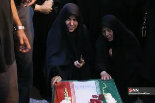 دبب