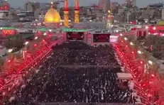این سیل جمعیت که چنین رهسپار توست، از هر نژاد و رنگ و زبان بیقرار توست