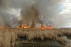 دود‌های شبانه هورالعظیم نفس خوزستان را بند می‌آورد/ مسئولان به جای مردم نیستند که درد آن‌ها را بفهمند