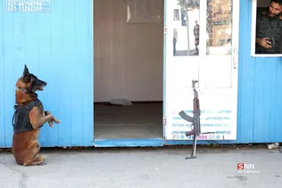 324324