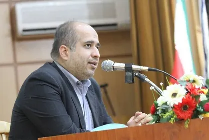 برنامه دولت برای حذف ارز ترجیحی در سال آینده عملیاتی و دقیق نیست