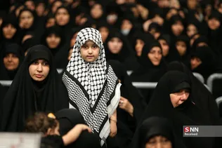 دبب