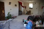 دبب