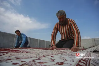 قالیشویی