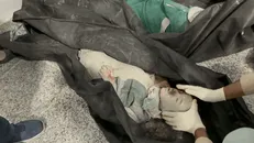 جزئیات شناسایی نشدن پیکر شهدای مدرسه شجره طیبه میناب