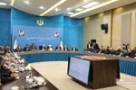 شورای توسعه