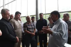بررسی اهلیت سرمایه‌گذار پیش از واگذاری ۴ هزار هکتار اراضی کشاورزی ایلام