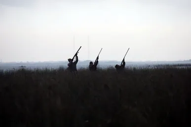محیط‌بانان قزوینی ۶ شکارچی متخلف را با ۶ قبضه اسلحه دستگیر کردند