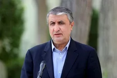 اسلامی: سند راهبردی ۲۰ ساله برای سازمان انرژی اتمی تنظیم شده است+ فیلم