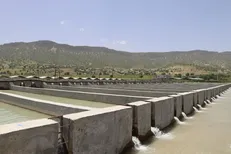 مسیر توسعه خاویار از دل تعاملات زاگرس