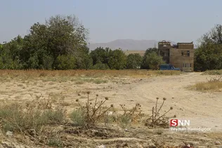 تخریب باغات