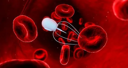 کنکاش نانوحامل&zwnj;های دارویی با استفاده از اشعه ایکس نرم